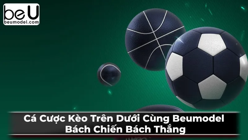 Cá Cược Kèo Trên Dưới Cùng Beumodel: Bách Chiến Bách Thắng