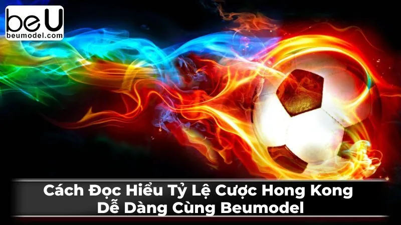 Mẹo và chiến lược đặt cược với tỷ lệ cược Hong Kong