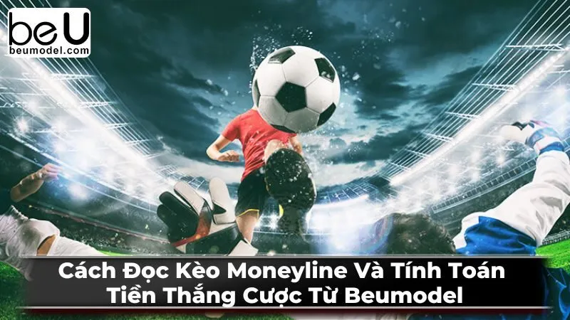 Mẹo và chiến lược đặt cược Moneyline