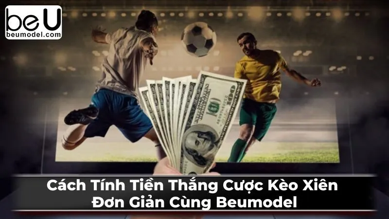 Cách Tính Tiền Thắng Cược Kèo Xiên Đơn Giản Cùng Beumodel