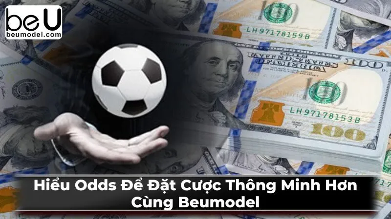 Cách đọc và tính toán Odds