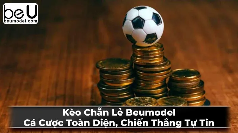 Kèo Chẵn Lẻ Beumodel: Cá Cược Toàn Diện, Chiến Thắng Tự Tin